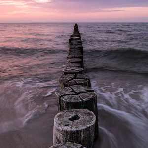 ZZijZZij亚洲日本少妇jiZjiZ
